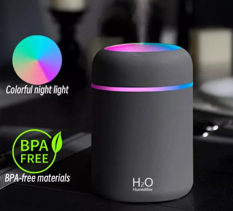 H2O Air Humidifier